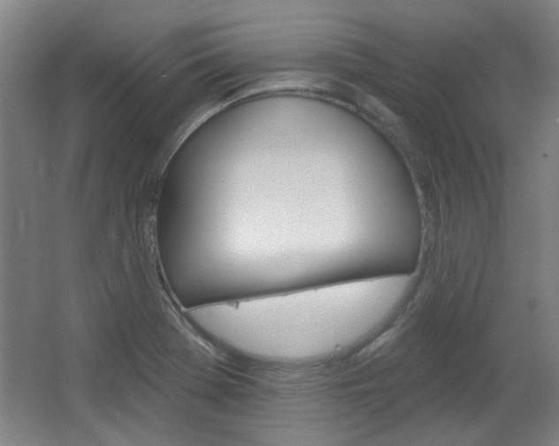 X0000064721369200602100921
