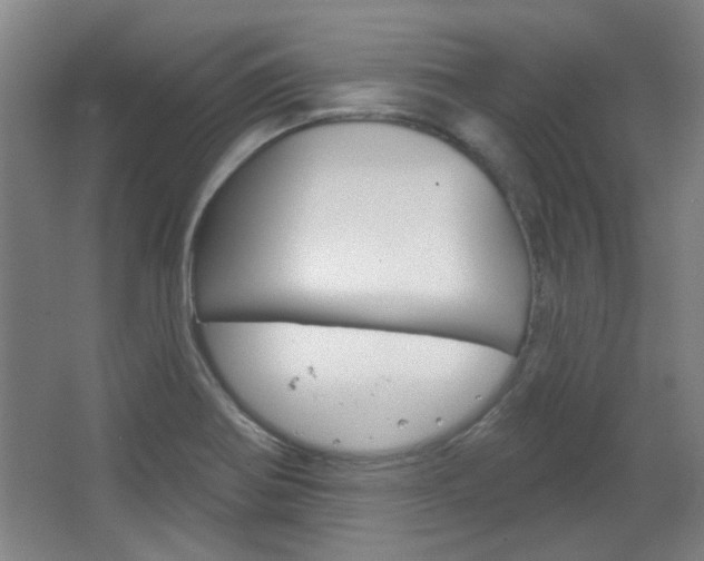X0000064721370200602100921
