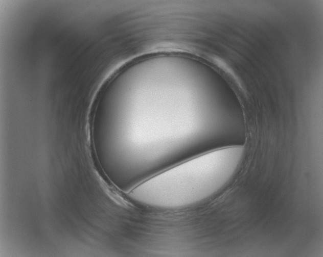 X0000064721372200602100921