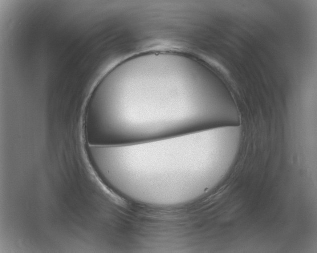 X0000064721375200602100921