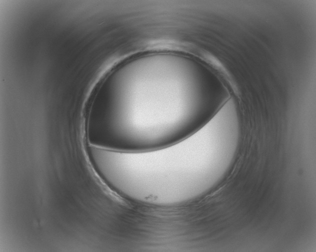 X0000064721376200602100921