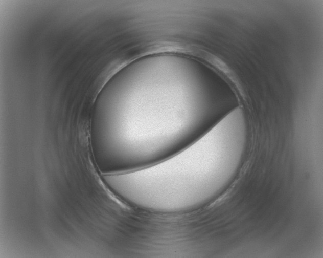 X0000064721377200602100921