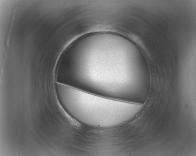 X0000064721380200602100921