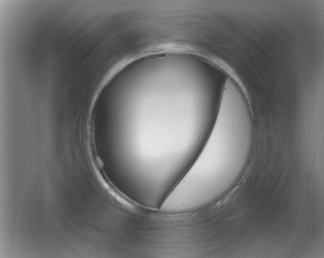 X0000064721381200602100921