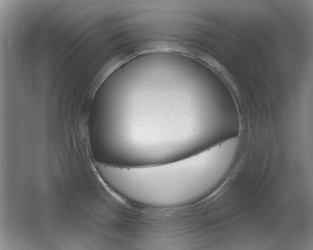 X0000064721385200602100920