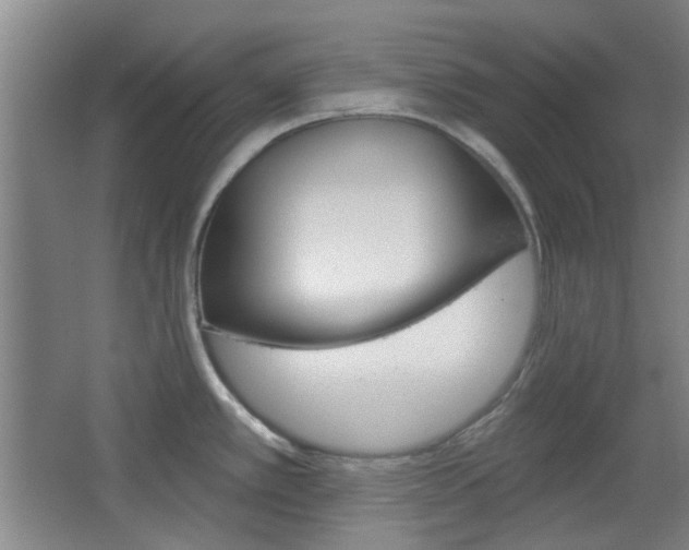 X0000064721389200602100920
