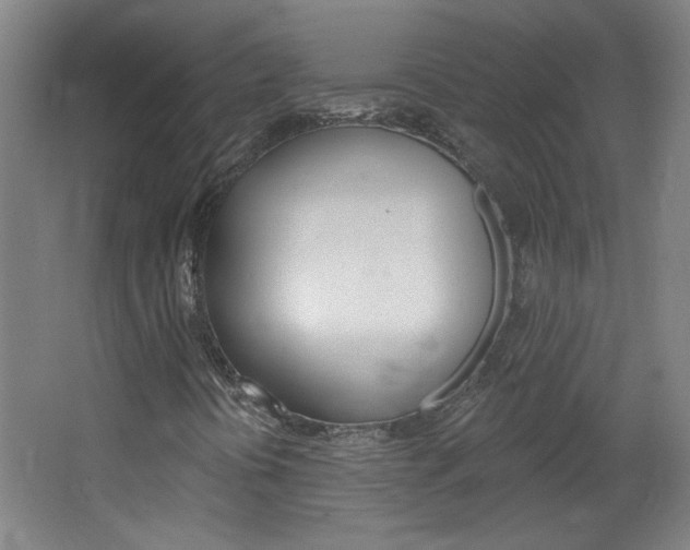 X0000064721394200602100920