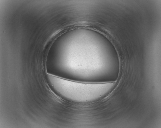 X0000064721402200602100920