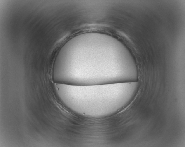 X0000064721403200602100920