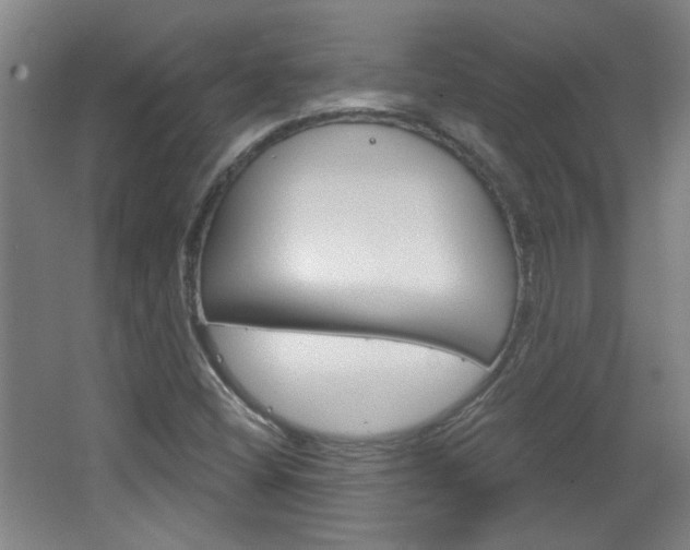 X0000064721404200602100920