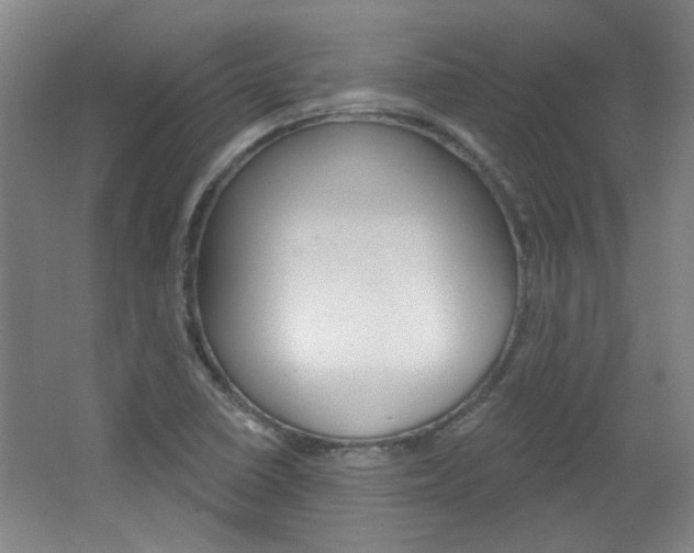 X0000064721410200602100920