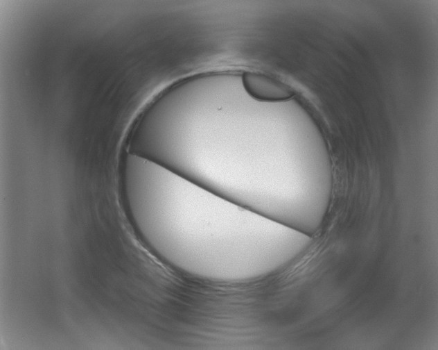 X0000064721415200602100920