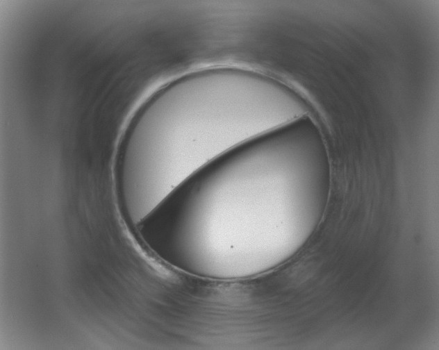X0000064721416200602100920