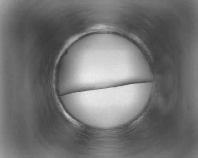 X0000064721421200602100920