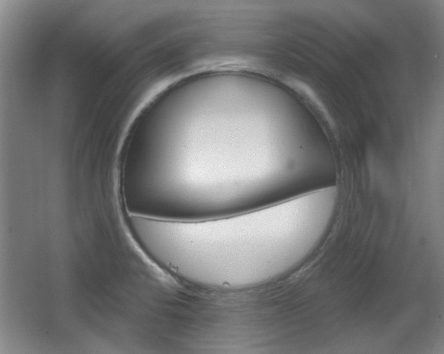 X0000064721424200602100920