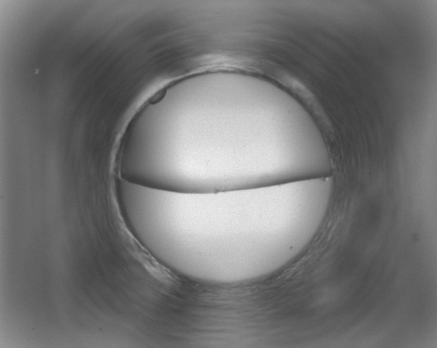X0000064721427200602100920