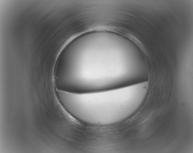 X0000064721428200602100920