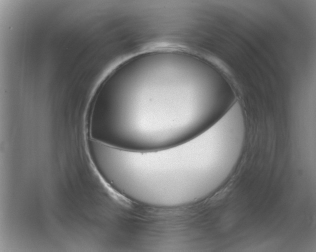 X0000064721430200602100920