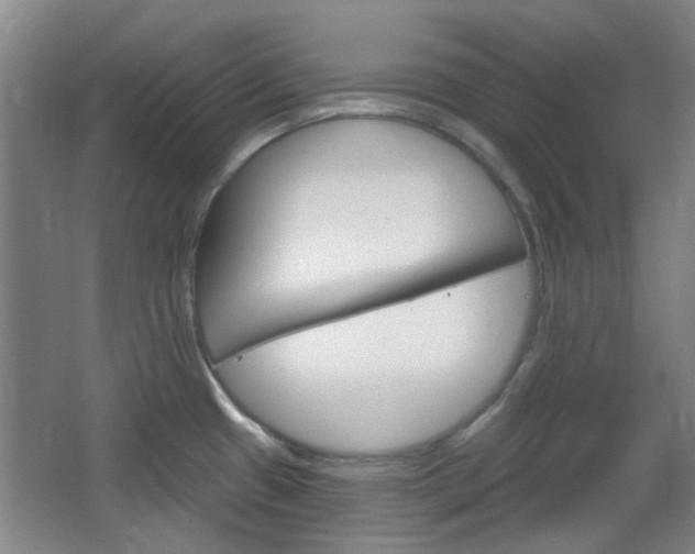 X0000064721433200602100920