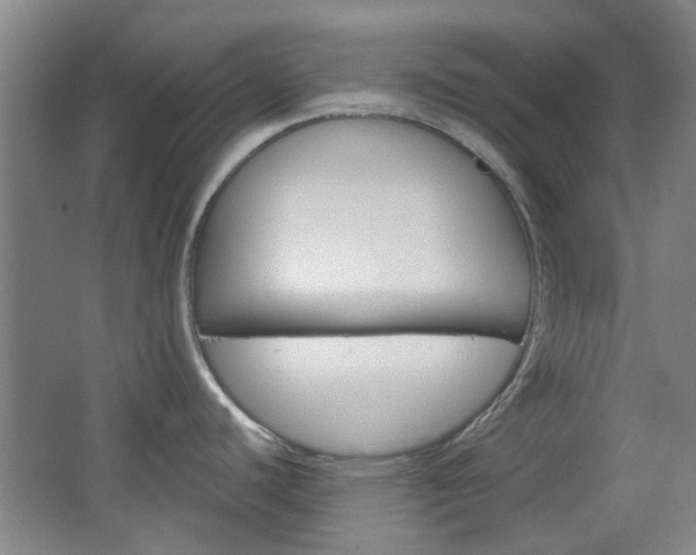 X0000064721440200602100920