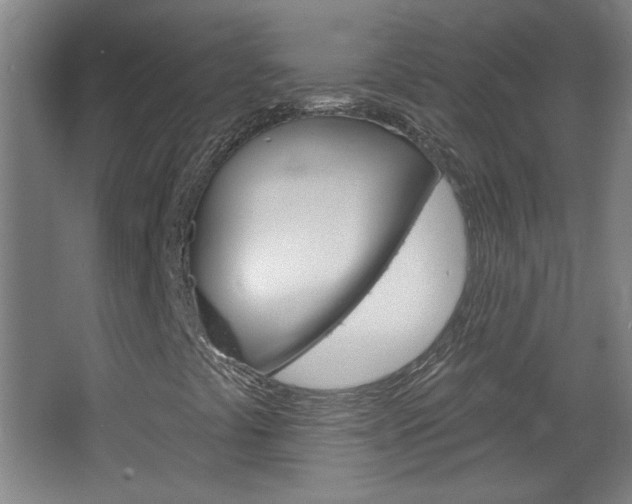 X0000064721441200602100920