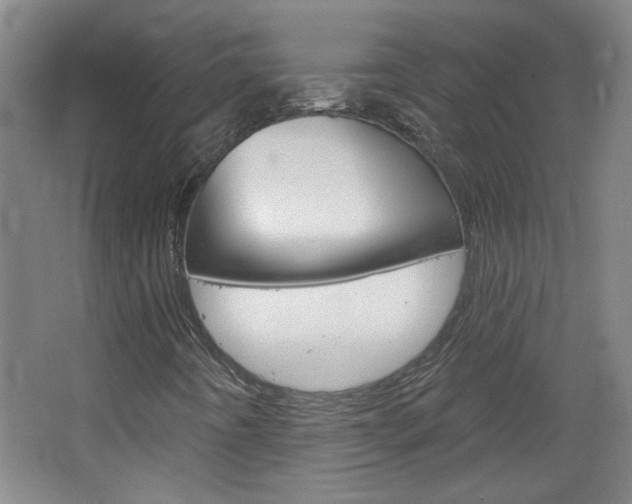 X0000064721442200602100919
