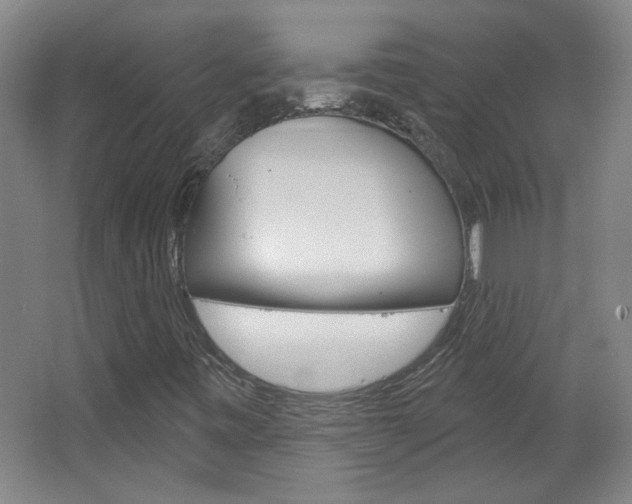 X0000064721443200602100919