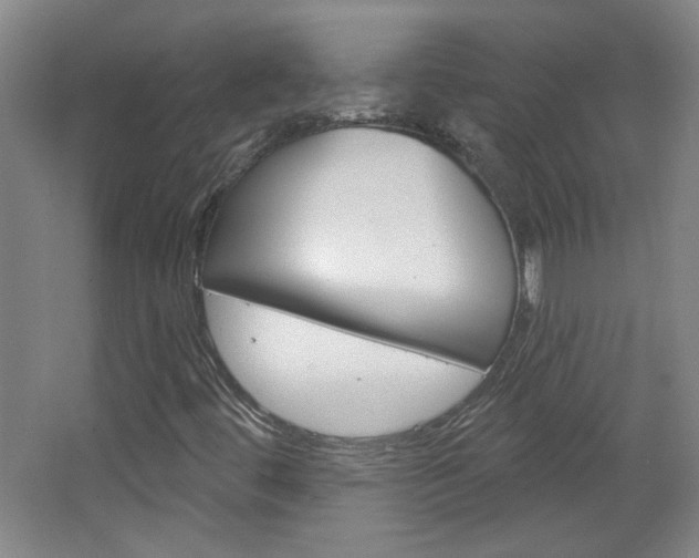 X0000064721444200602100919