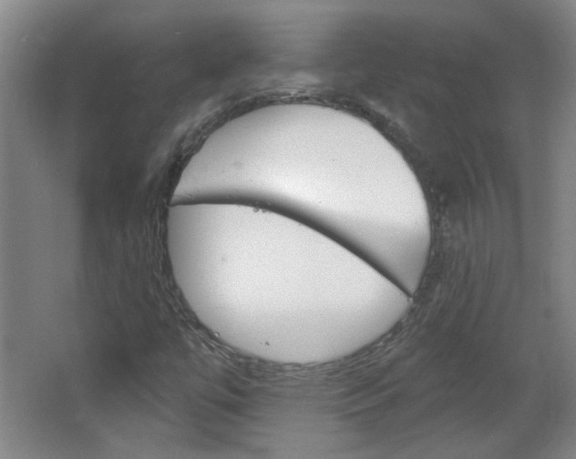 X0000064721447200602100919
