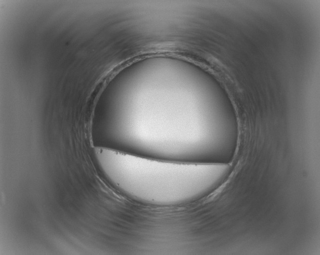 X0000064721449200602100919