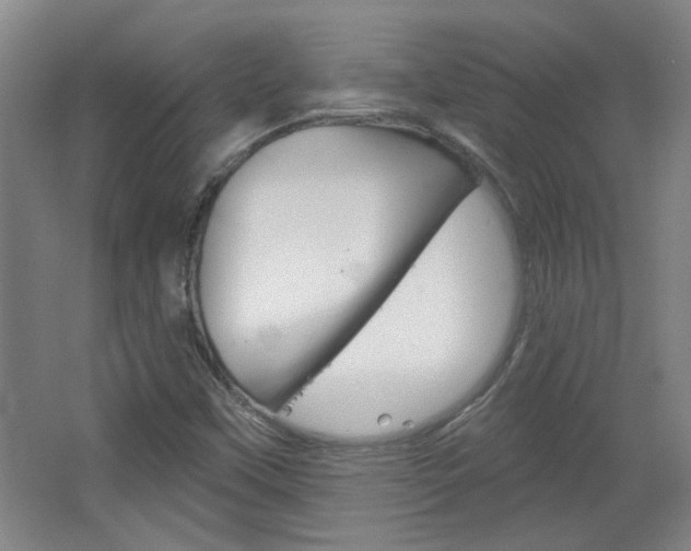 X0000064721451200602100919