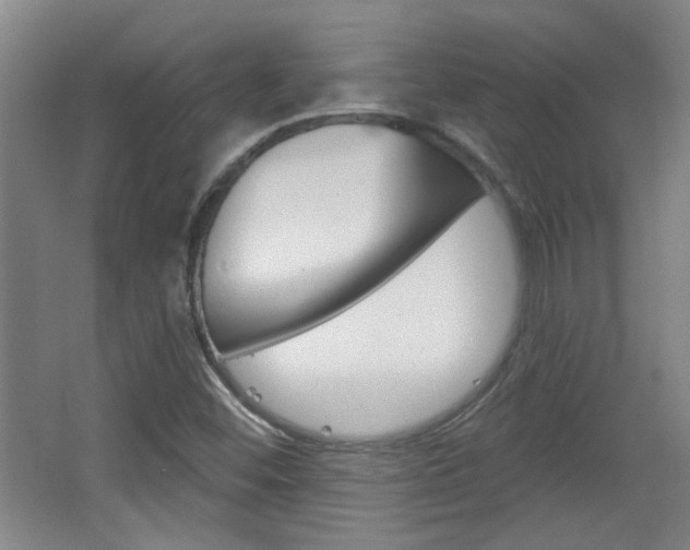 X0000064721452200602100919