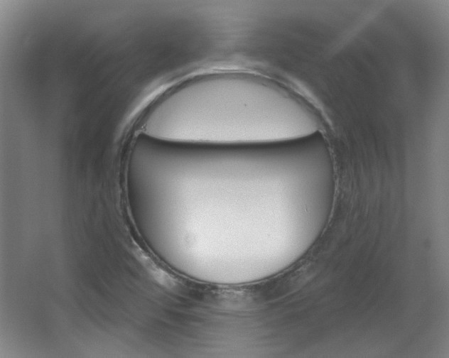 X0000064721456200602100919
