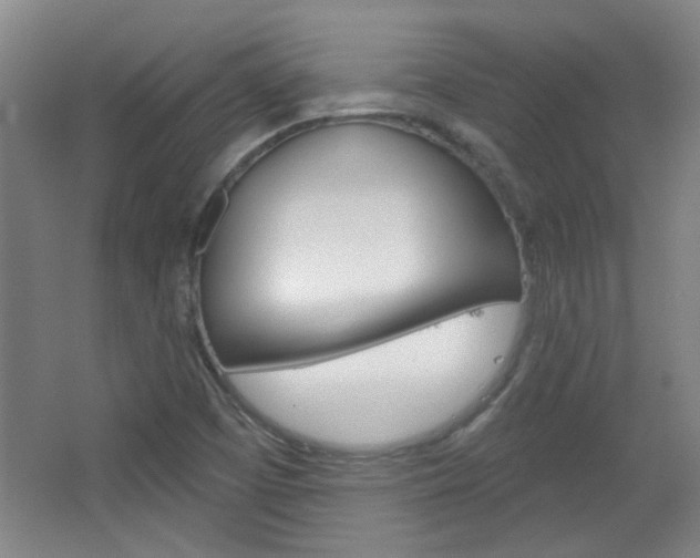 X0000064721457200602100919