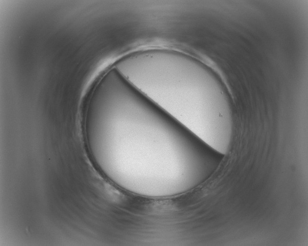 X0000064721464200602100919