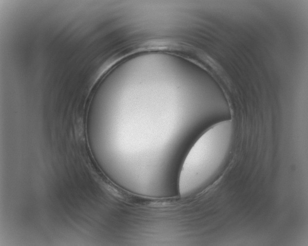 X0000064721465200602100919