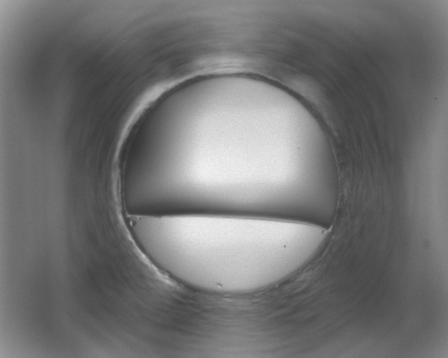 X0000064721472200602100919