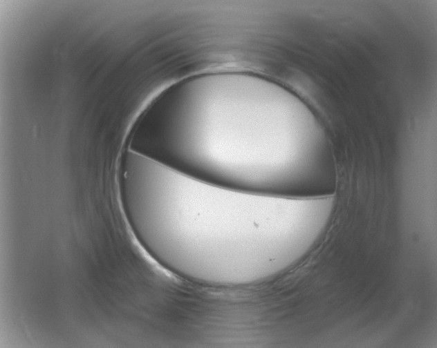 X0000064721476200602100919