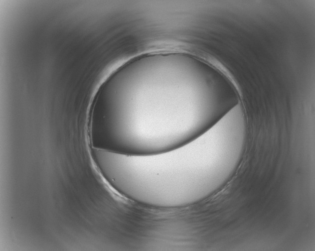 X0000064721485200602100919