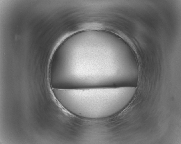 X0000064721488200602100919