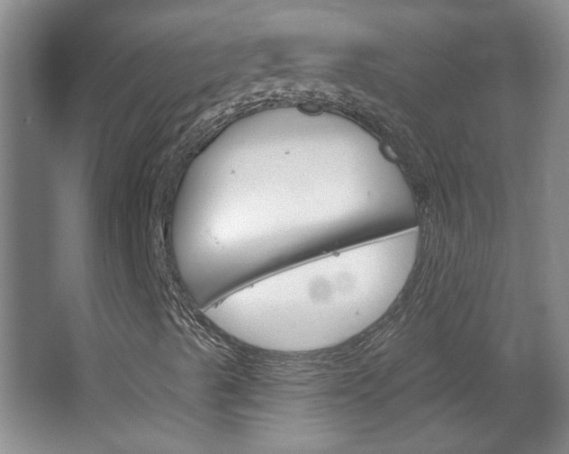 X0000064721489200602100918