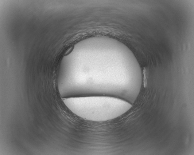 X0000064721491200602100918
