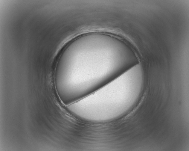 X0000064721501200602100918