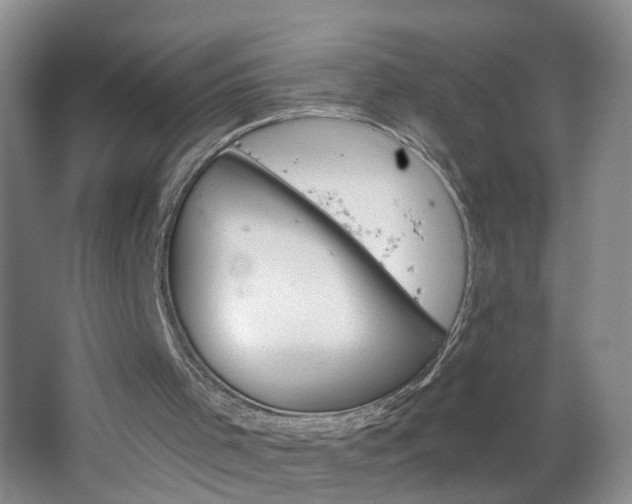 X0000064720001200602101136