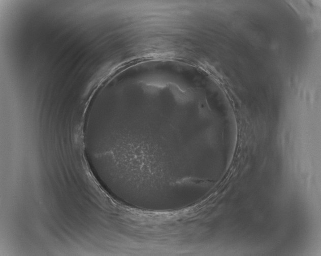 X0000064720002200602101136