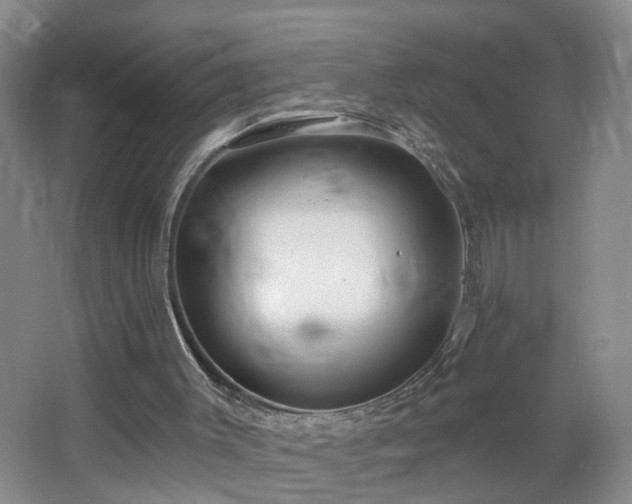 X0000064720003200602101136