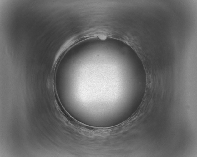 X0000064720004200602101136