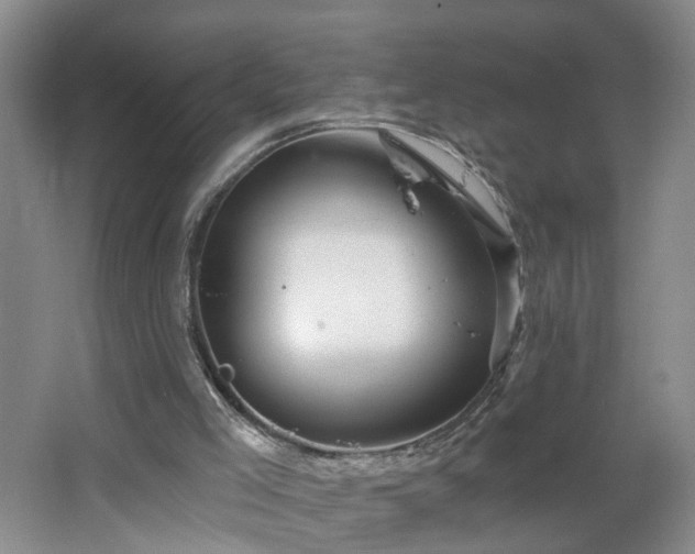 X0000064720005200602101136