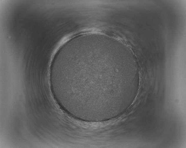 X0000064720006200602101136