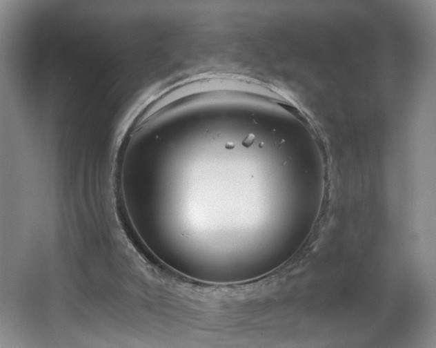 X0000064720007200602101136